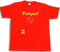バレー チームTシャツ・Volleyball