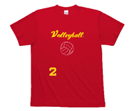 Volleyball