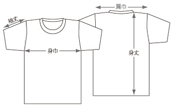 サイズ