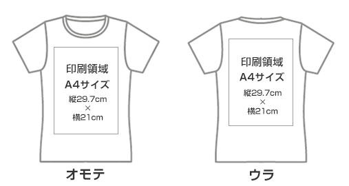 レディースTシャツのプリント領域
